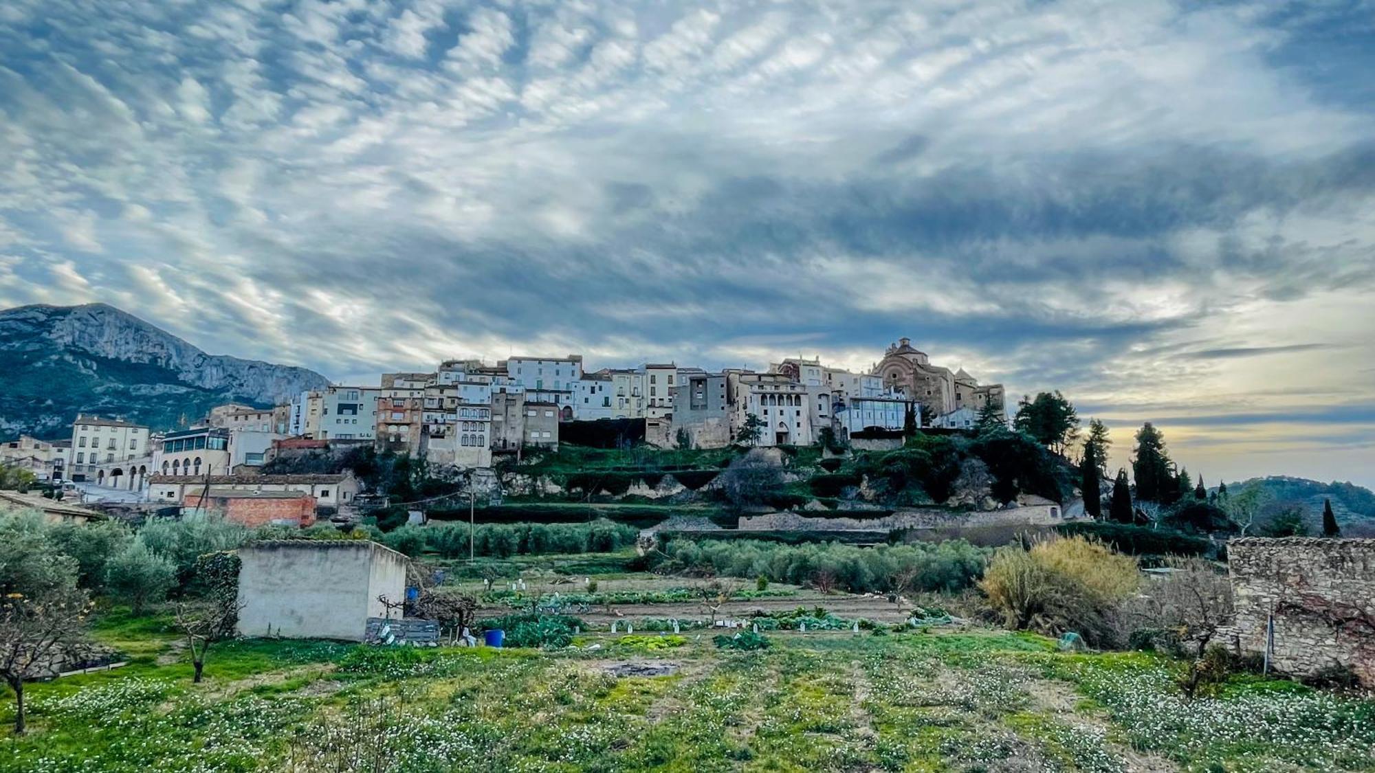 Apartament Rural Monetze Tivissa Exterior photo